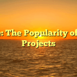 Title: The Popularity of DIY Projects