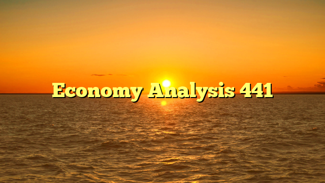 Economy Analysis 441